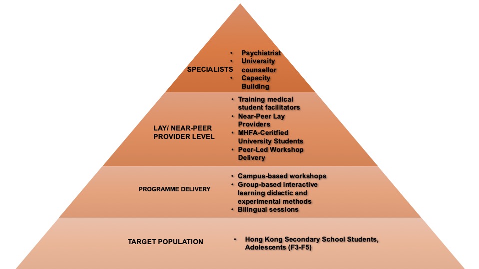 Figure:Implementation Framework for a Youth–Adult Partnership Mental Health Literacy Intervention Using Specialist Oversight and Near-Peer Delivery
