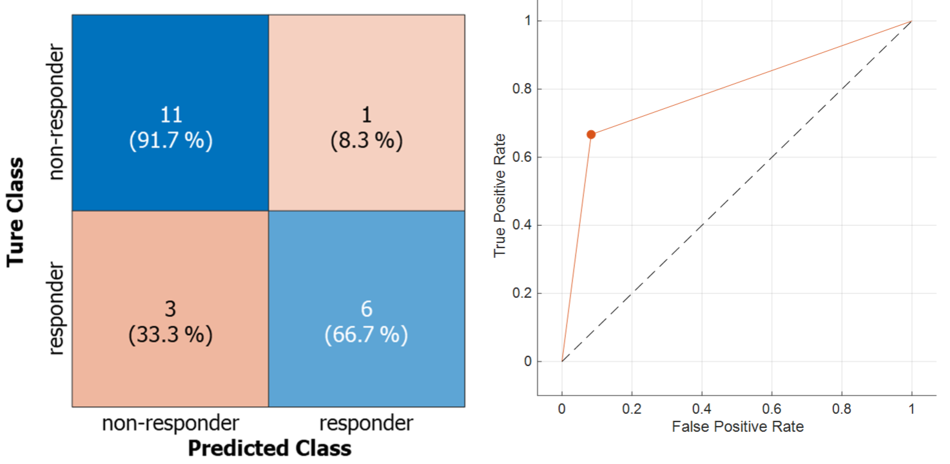 Confusion matrix shows 81% accuracy, with 91.7% specificity (11/12 non-responders correct).
