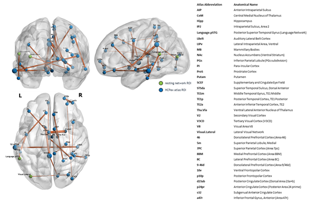 SHAP-derived brain connectivity networks for current suicide risk classification. This figure visualizes the most discriminative functional connectivity patterns identified through SHAP analysis, displayed across three orthogonal brain views. Node: Blue circles represent regions of interest (ROIs) from the HCPex atlas parcellation, while green circles denote ROIs from established resting-state networks. Node sizes are proportional to the frequency with which each region appeared as an important feature across SHAP analyses. Edge: Connections between ROIs illustrate the most important functional connectivity pairs that drive suicide risk classification, with connection thickness representing the relative importance of each connectivity feature. The network visualization reveals that the most discriminative connections predominantly involve subcortical-cortical circuits, particularly linking the striatum (putamen, nucleus accumbens) with cingulate cortex.